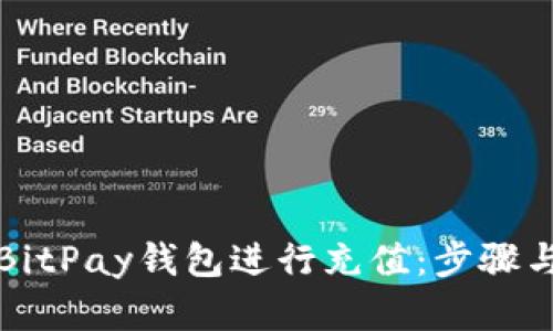 如何使用BitPay錢包進行充值：步驟與技巧詳解