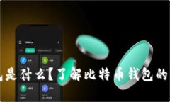 比特幣錢(qián)包是什么？了解