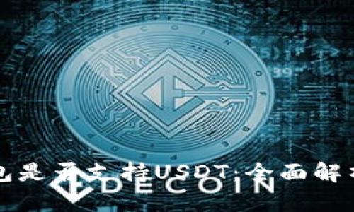 去中心化錢包是否支持USDT：全面解析與使用指南