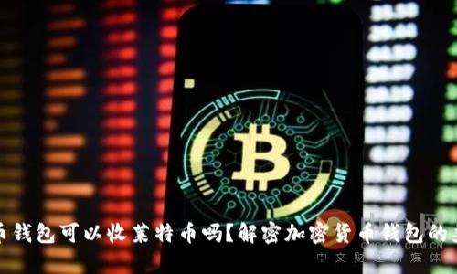 比特幣錢包可以收萊特幣嗎？解密加密貨幣錢包的兼容性