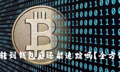 USDT轉(zhuǎn)到錢包后還能追蹤嗎？全方位解析