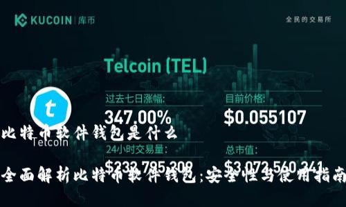 比特幣軟件錢包是什么

全面解析比特幣軟件錢包：安全性與使用指南